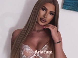 Ariacara