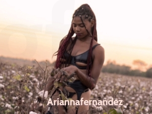 Ariannafernandez