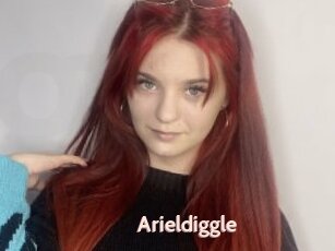 Arieldiggle