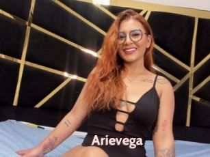 Arievega