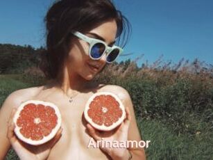 Arinaamor