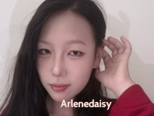 Arlenedaisy