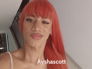 Ayshascott