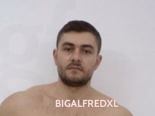 BIGALFREDXL
