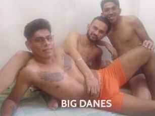 BIG_DANES