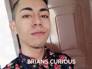 BRIANS_CURIOUS