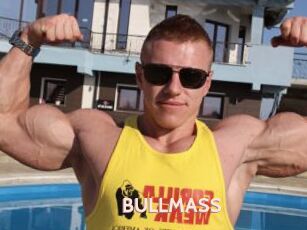 BULLMASS