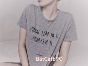 BatCat690