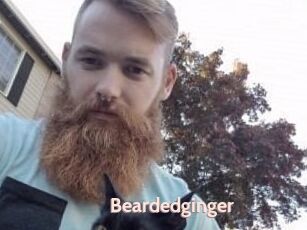 Beardedginger