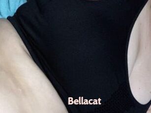 Bellacat