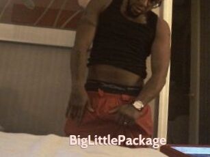 BigLittlePackage