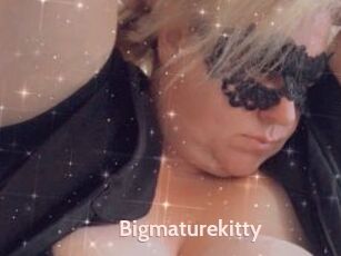 Bigmaturekitty