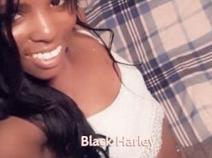 Black_Harley