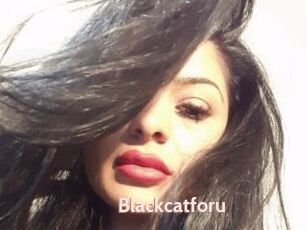 Blackcatforu
