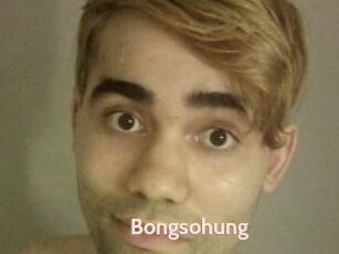 Bongsohung