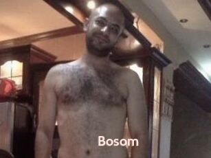Bosom