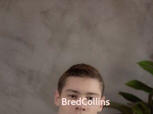 BredCollins