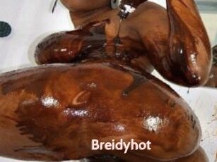 Breidyhot