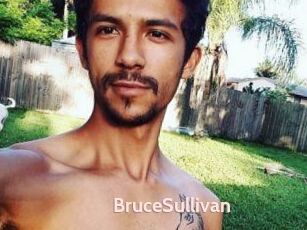 Bruce_Sullivan