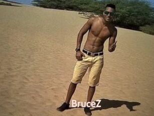 BruceZ