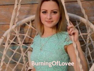 BurningOfLovee