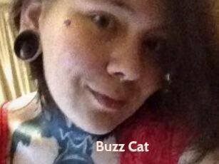Buzz_Cat