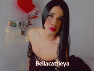 Bellacattleya