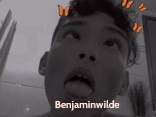 Benjaminwilde