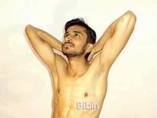 Bibin