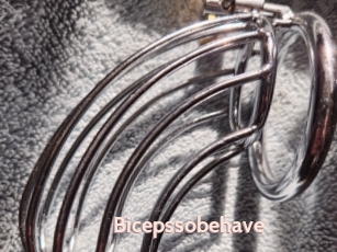 Bicepssobehave