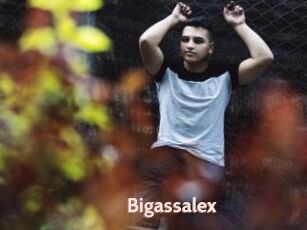 Bigassalex