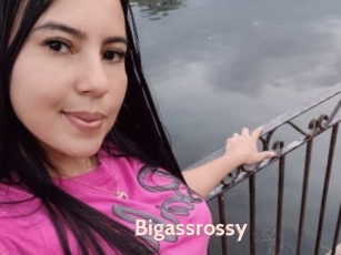 Bigassrossy