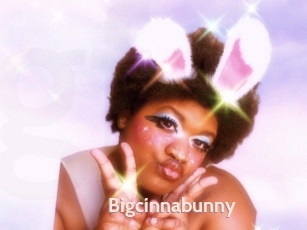 Bigcinnabunny