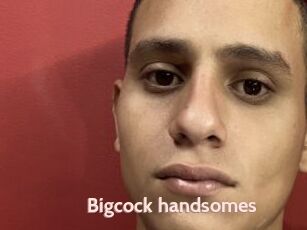 Bigcock_handsomes