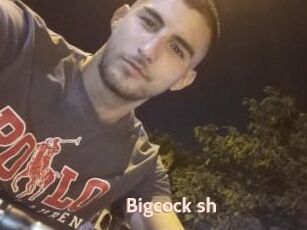 Bigcock_sh