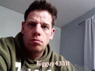 Bigguy43311