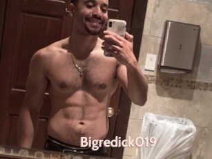 Bigredick019