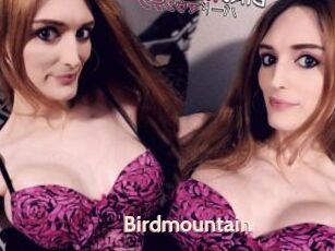 Birdmountain