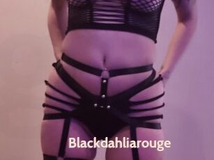 Blackdahliarouge