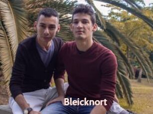 Bleicknort