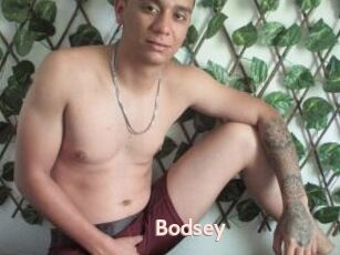 Bodsey