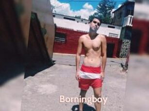 Borningboy