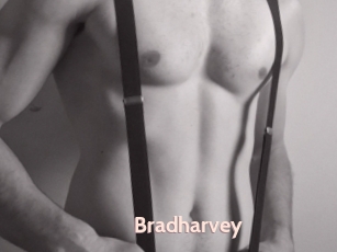 Bradharvey