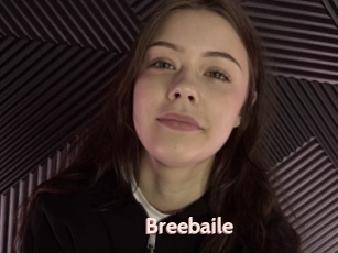 Breebaile