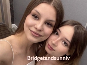 Bridgetandsunniv