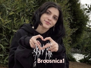 Broosnica1