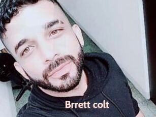 Brrett_colt