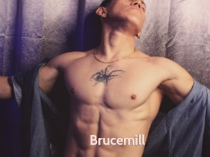 Brucemill