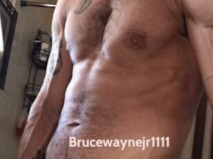 Brucewaynejr1111