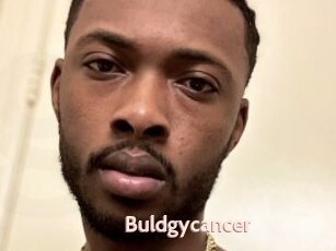 Buldgycancer